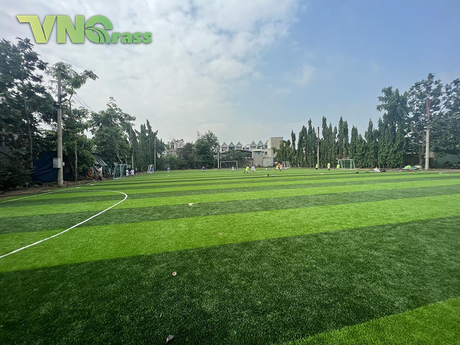 sân bóng đá cỏ nhân tạo tại Đồng Nai