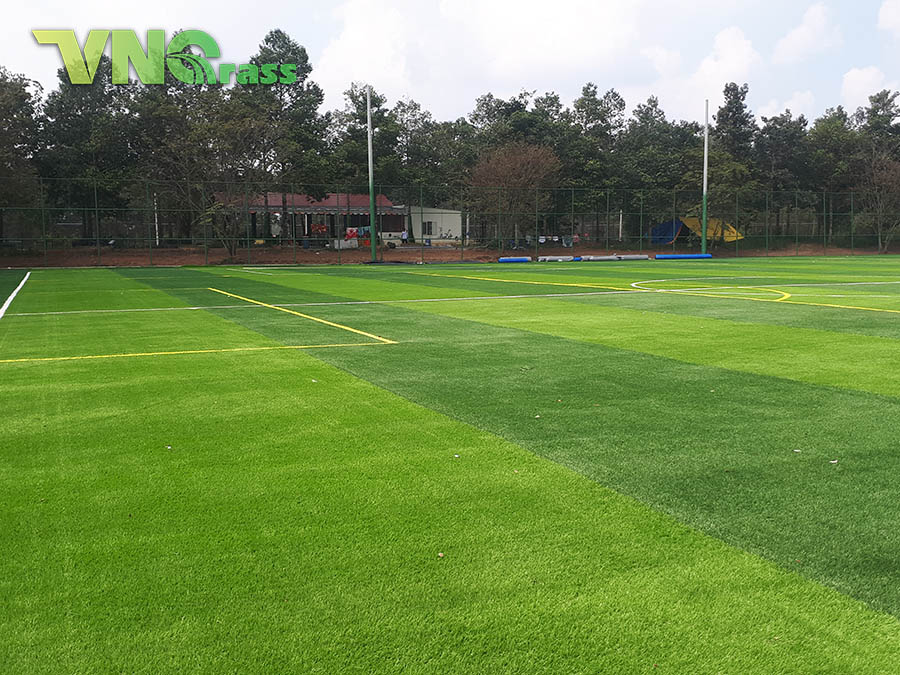 Sân bóng đá cỏ nhân tạo tại Vĩnh Long