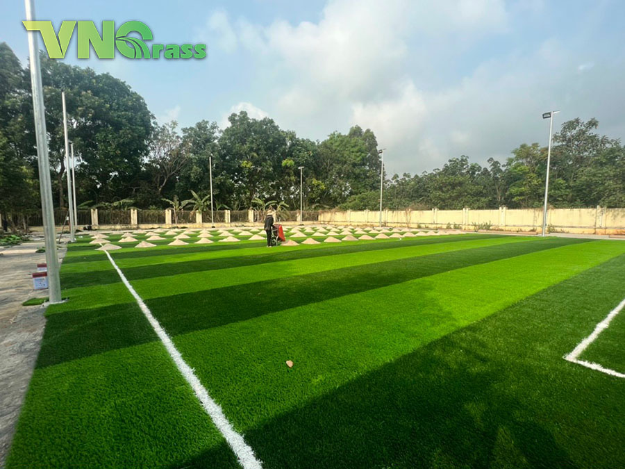 Sân bóng đá cỏ nhân tạo tại Long An