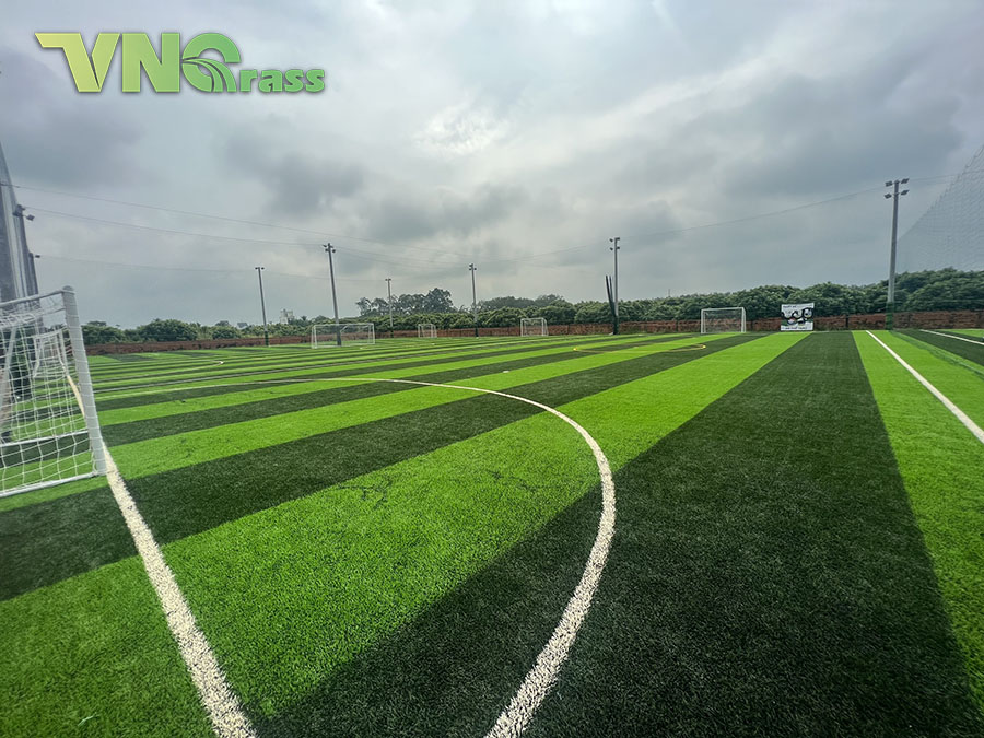 Thi công sân bóng đá cỏ nhân tạo tại Tây Ninh