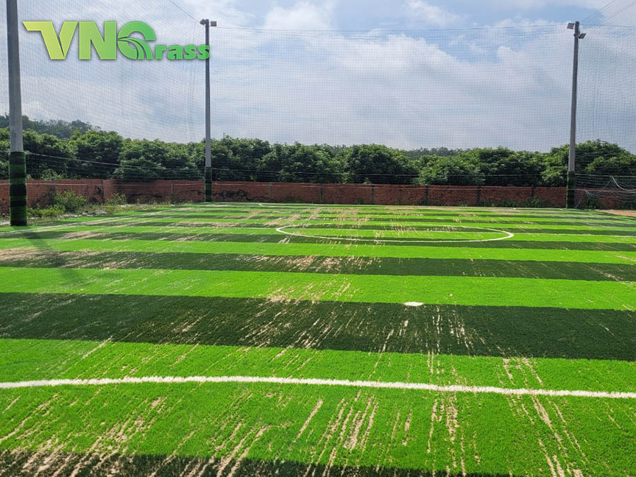 Sân bóng đá cỏ nhân tạo tại Tây Ninh