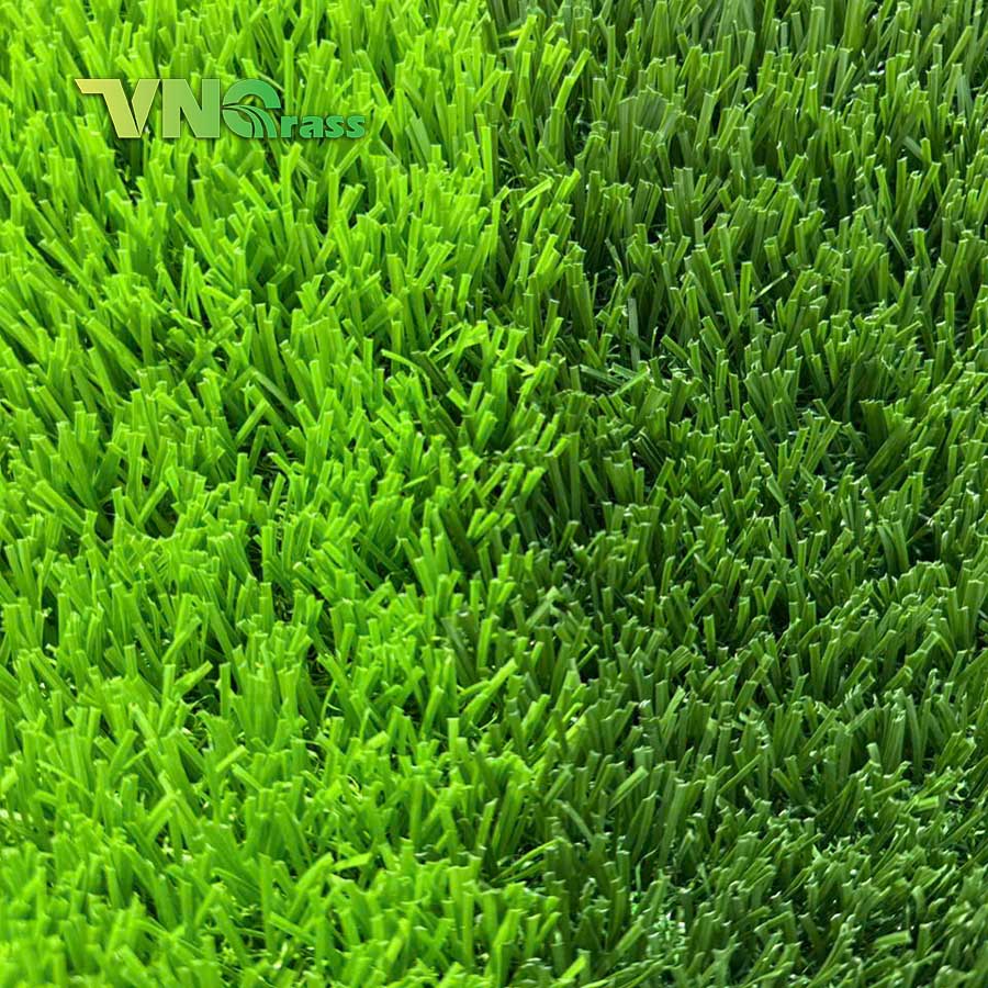 Cỏ Sân Bóng Không Hạt Cao Su, Không Cát - Ảnh 5